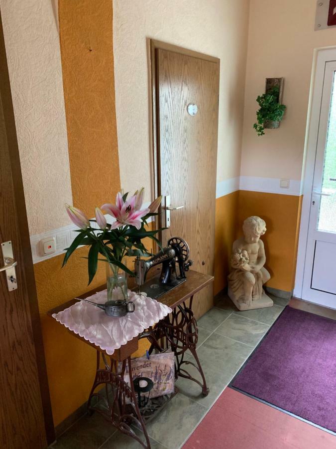 Pension Triebischtal Meißen Esterno foto